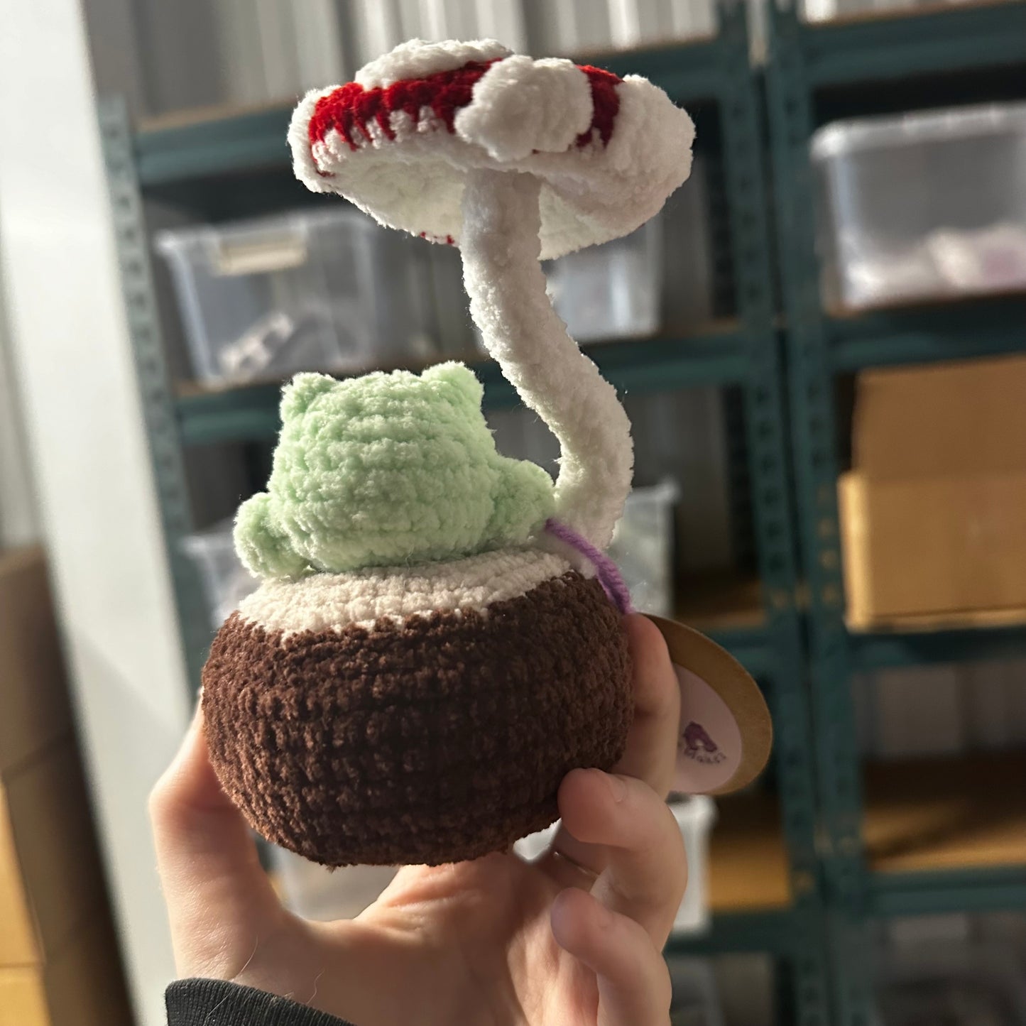 Frog on a log crochet friend