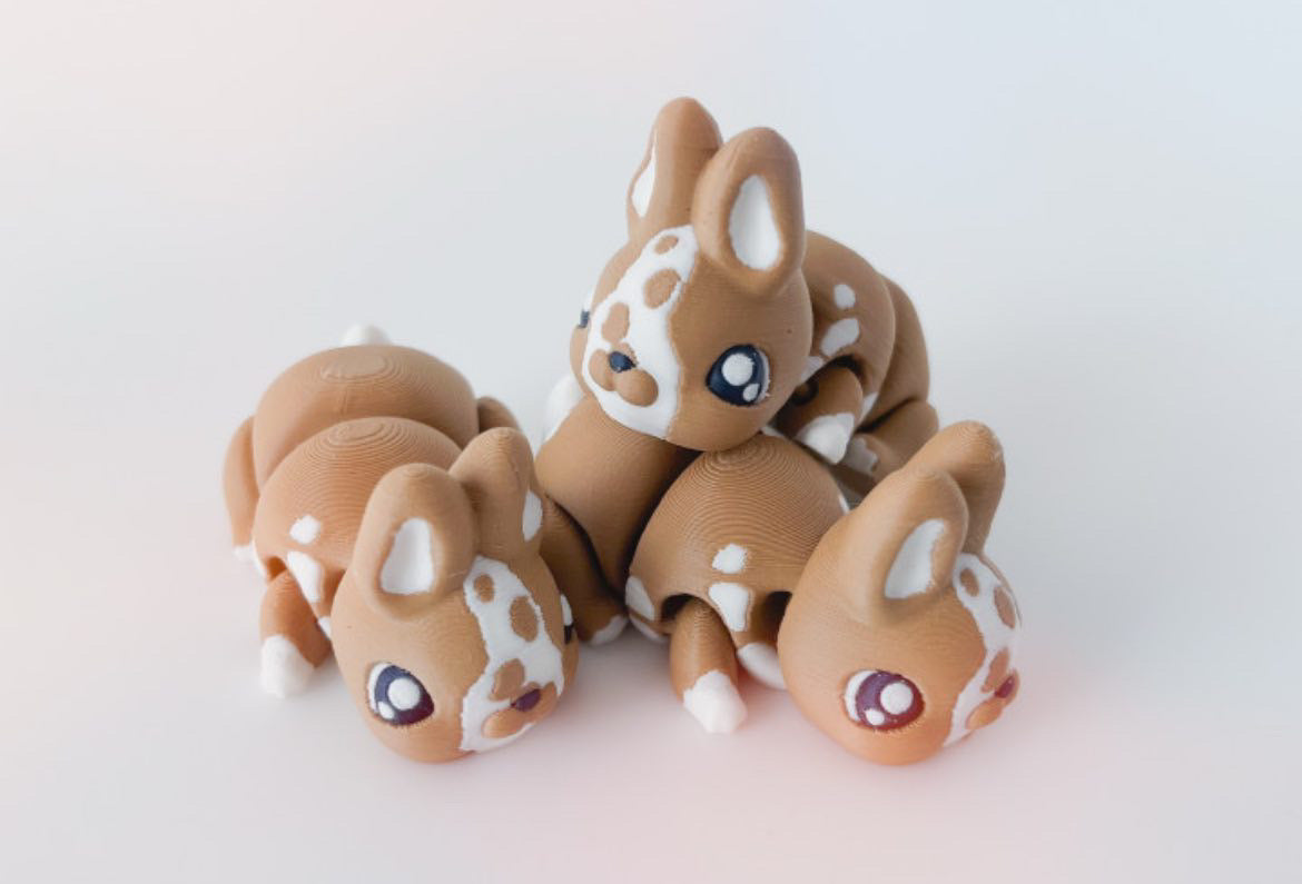 Rabbit Fidget