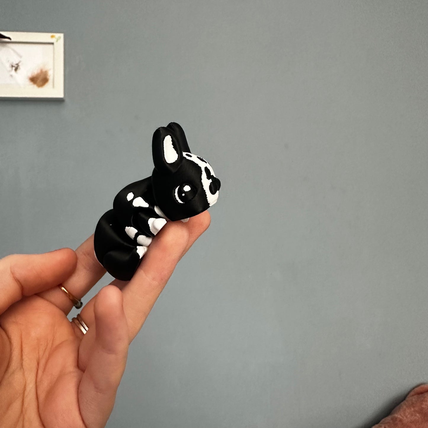 Rabbit Fidget