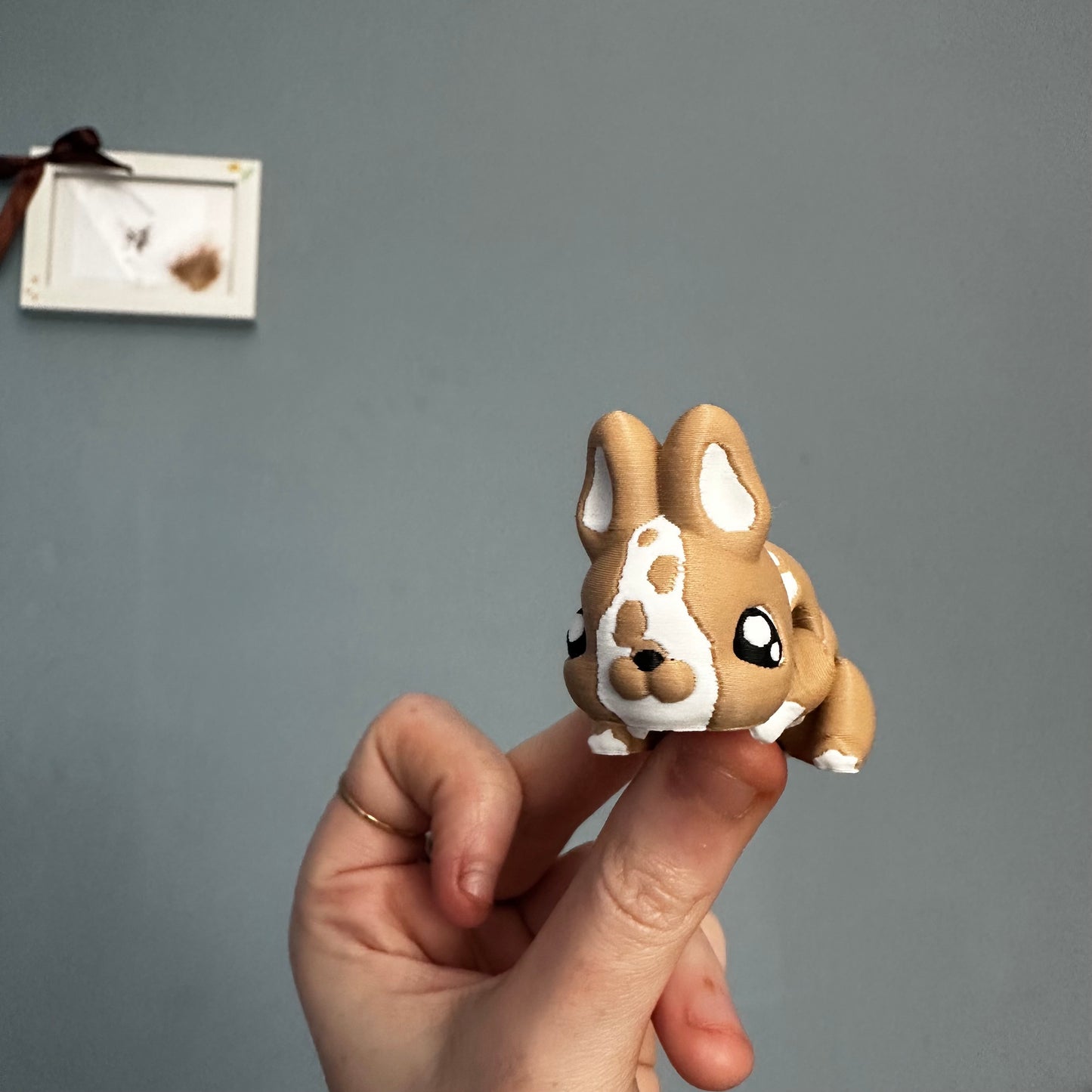 Rabbit Fidget