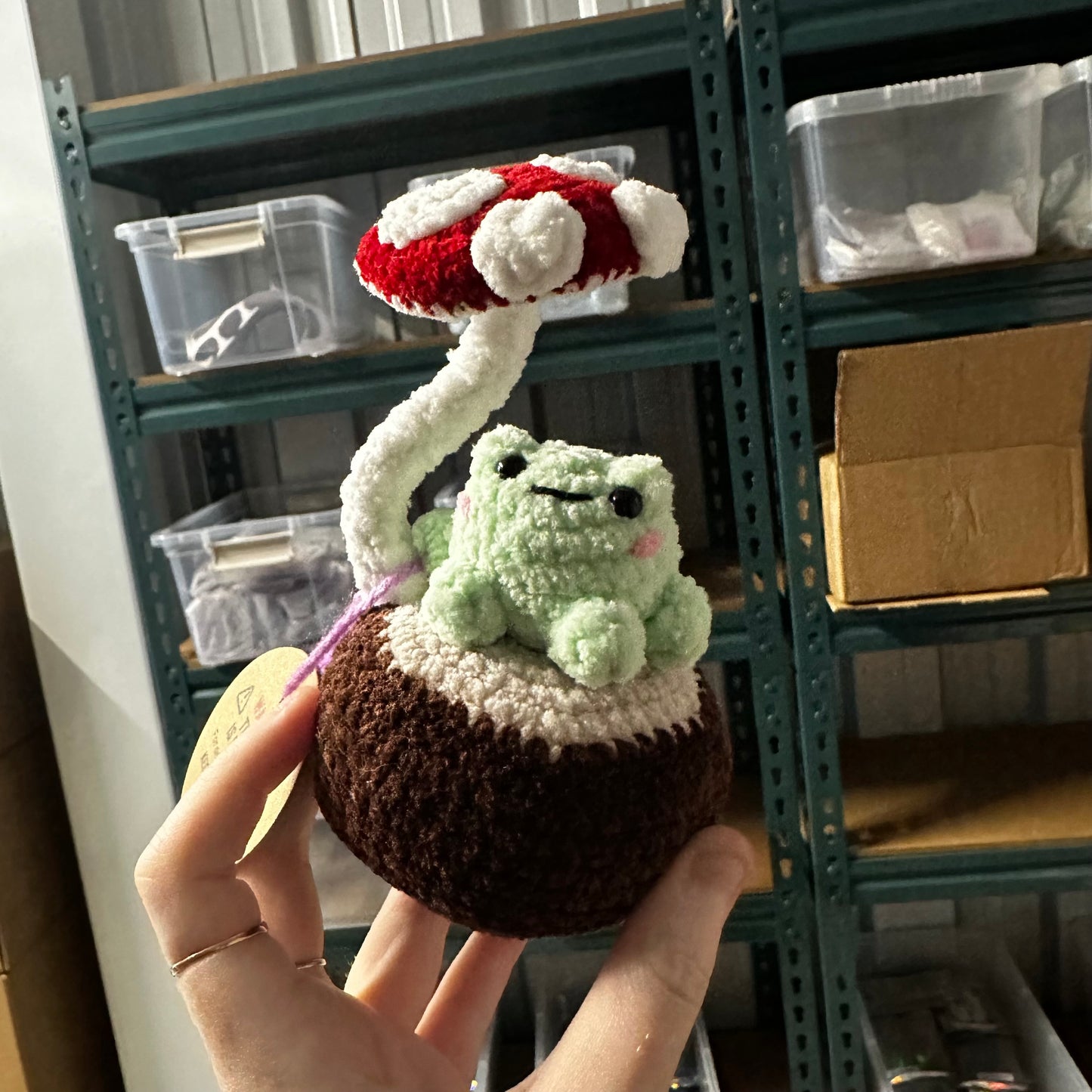 Frog on a log crochet friend