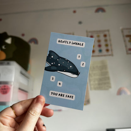 Shark Grounding Cards