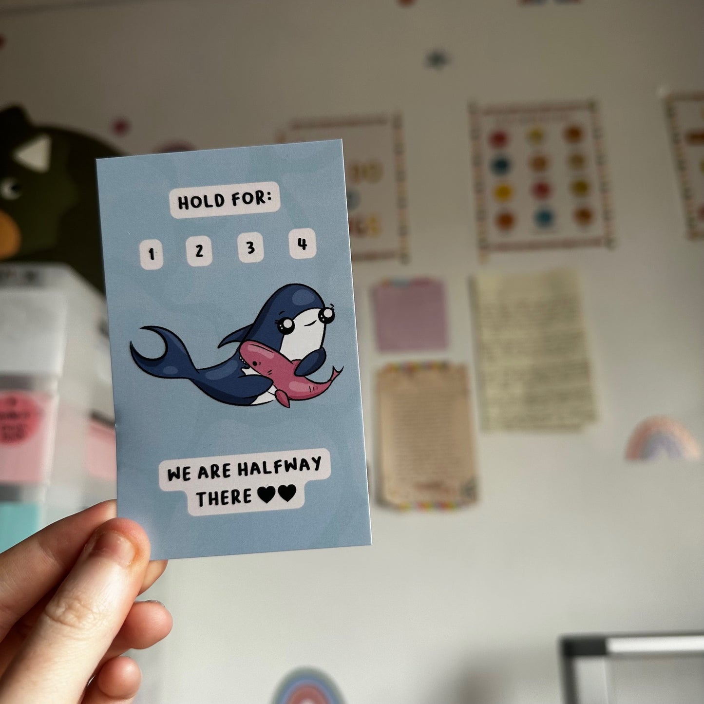 Shark Grounding Cards